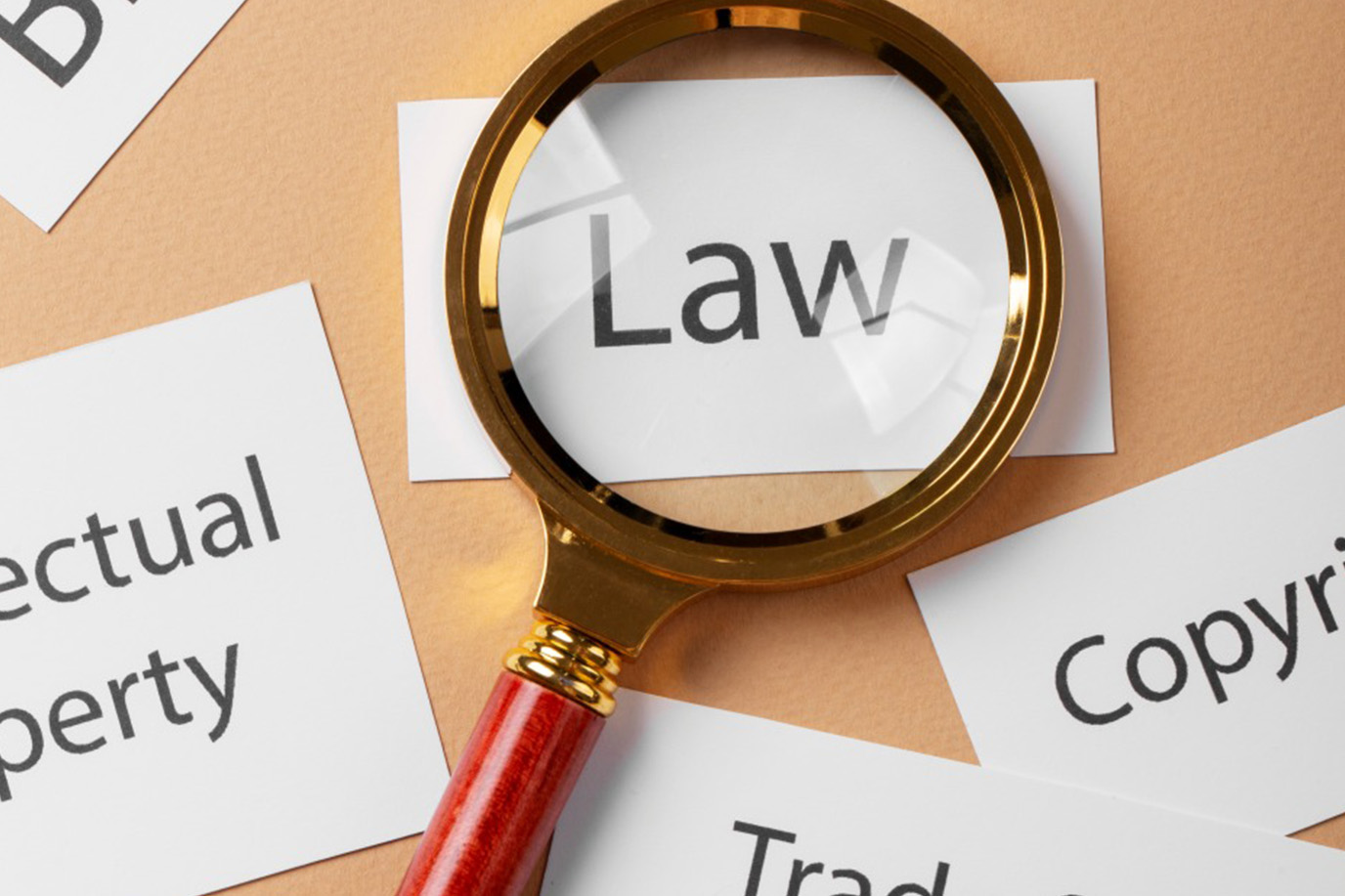 Lawyers